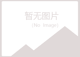 鹤岗兴山腐朽服务有限公司